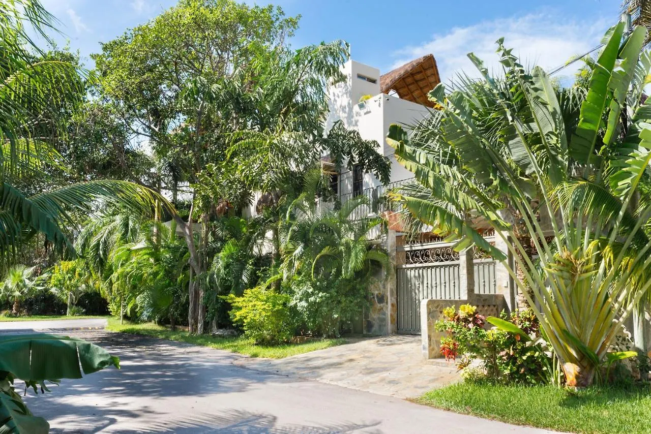 Alamos Inn Hotel Con Jacuzzi Y Piscina Cancún