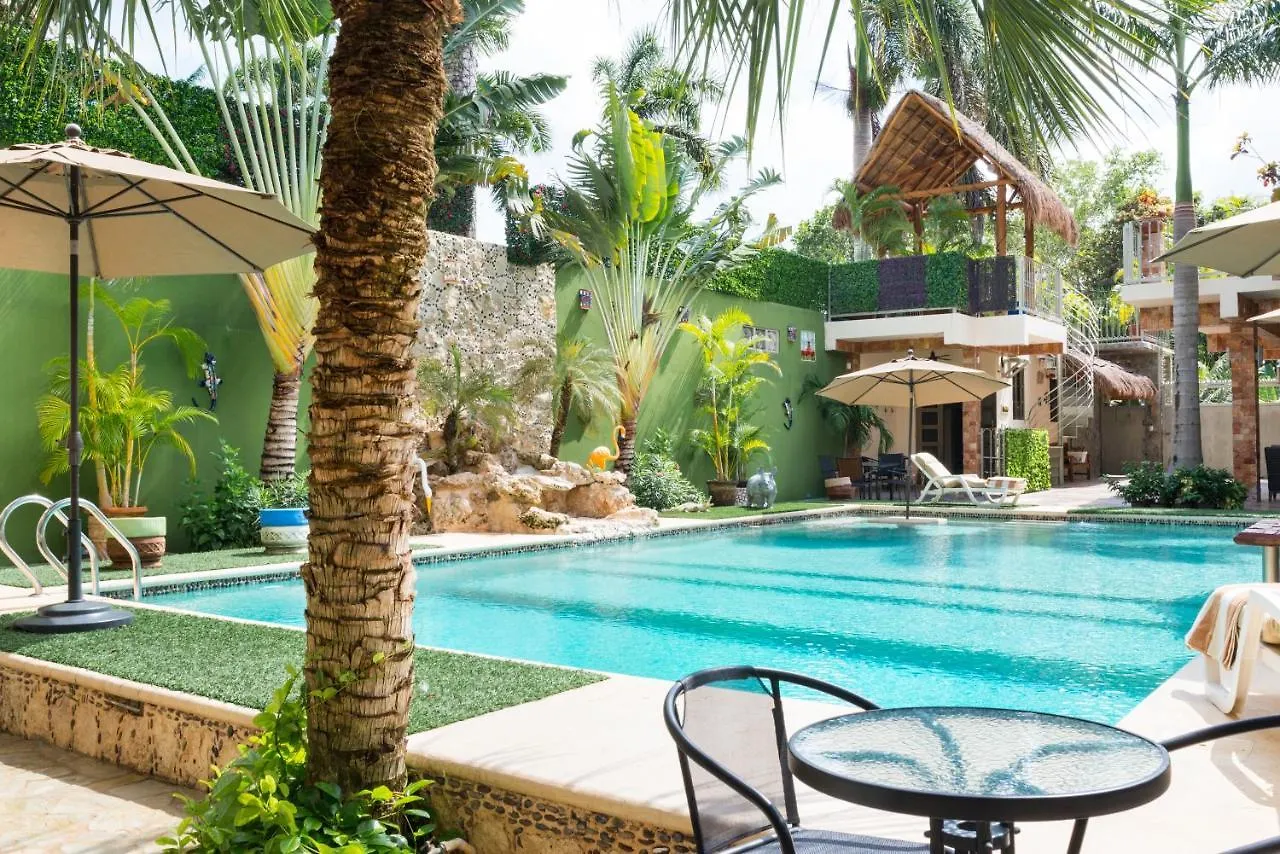 Alamos Inn Hotel Con Jacuzzi Y Piscina Канкун
