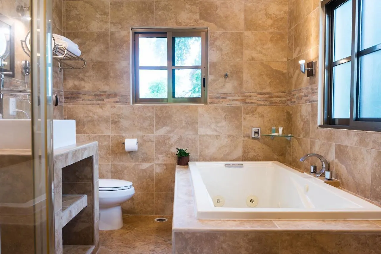 Alamos Inn Hotel Con Jacuzzi Y Piscina Канкун Мексика